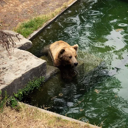 Apart-hotel One - Zollhaus Berna