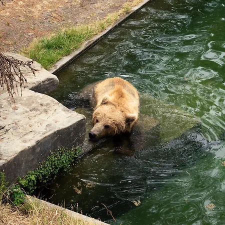 One - Zollhaus Lejlighedshotel 4*