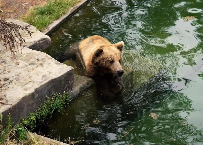 Lejlighedshotel One - Zollhaus Bern
