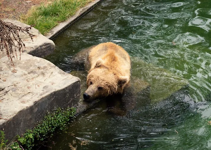 One - Zollhaus Lejlighedshotel 4*